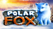 polar_fox