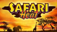 safari_heat