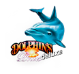 Dolphins pearl Deluxe HD